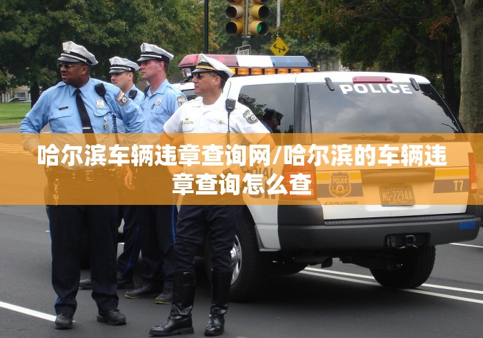 哈尔滨车辆违章查询网/哈尔滨的车辆违章查询怎么查