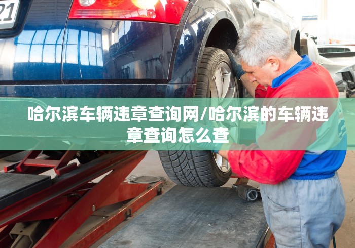 哈尔滨车辆违章查询网/哈尔滨的车辆违章查询怎么查