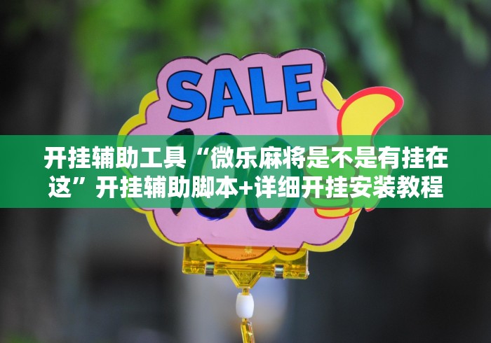 开挂辅助工具“微乐麻将是不是有挂在这”开挂辅助脚本+详细开挂安装教程