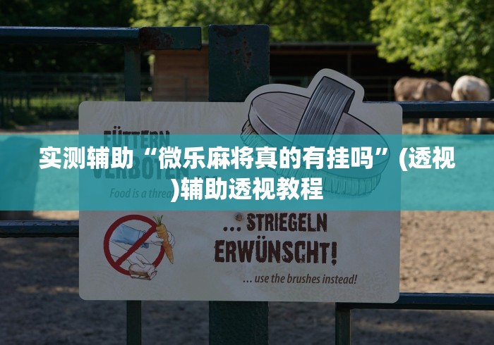 实测辅助“微乐麻将真的有挂吗”(透视)辅助透视教程