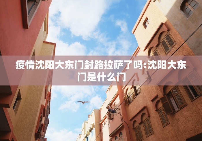 疫情沈阳大东门封路拉萨了吗:沈阳大东门是什么门