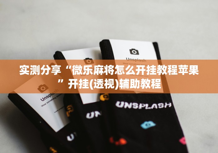 实测分享“微乐麻将怎么开挂教程苹果”开挂(透视)辅助教程