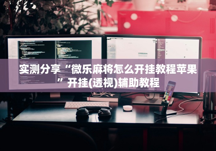 实测分享“微乐麻将怎么开挂教程苹果”开挂(透视)辅助教程