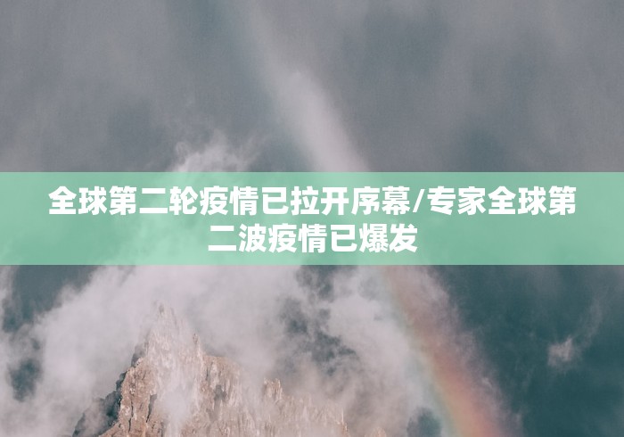 全球第二轮疫情已拉开序幕/专家全球第二波疫情已爆发