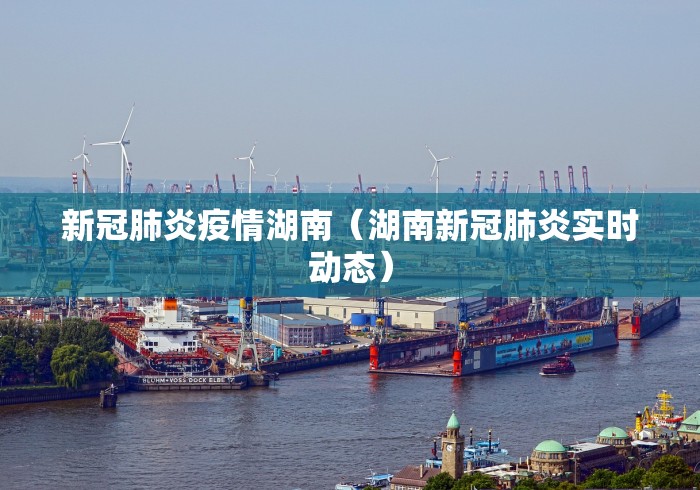 新冠肺炎疫情湖南(湖南新冠肺炎实时动态)