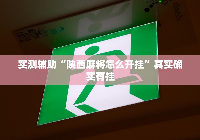 实测辅助“陕西麻将怎么开挂”其实确实有挂
