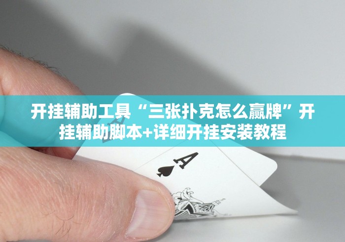 开挂辅助工具“三张扑克怎么赢牌”开挂辅助脚本+详细开挂安装教程