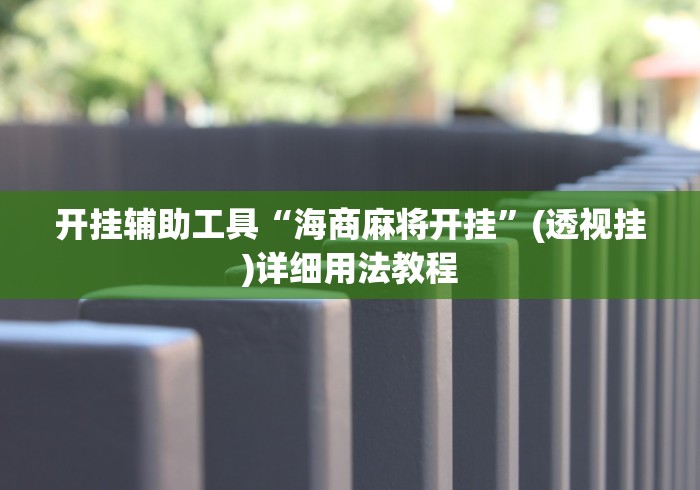 开挂辅助工具“海商麻将开挂”(透视挂)详细用法教程