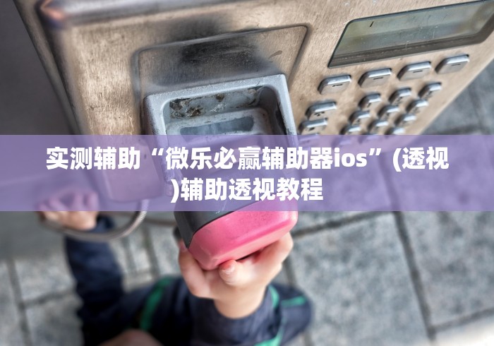 实测辅助“微乐必赢辅助器ios”(透视)辅助透视教程