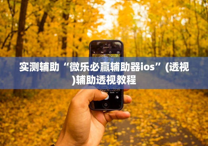 实测辅助“微乐必赢辅助器ios”(透视)辅助透视教程