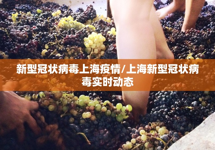 新型冠状病毒上海疫情/上海新型冠状病毒实时动态