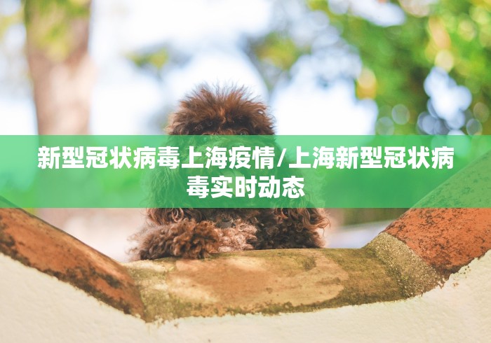 新型冠状病毒上海疫情/上海新型冠状病毒实时动态 新型冠状病毒上海疫情/上海新型冠状病毒实时动态