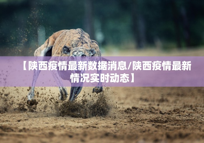 【陕西疫情最新数据消息/陕西疫情最新情况实时动态】