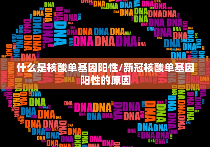 什么是核酸单基因阳性/新冠核酸单基因阳性的原因