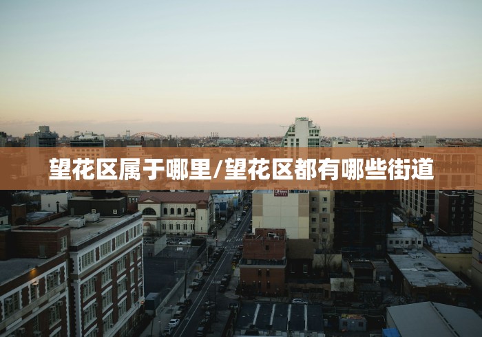 望花区属于哪里/望花区都有哪些街道