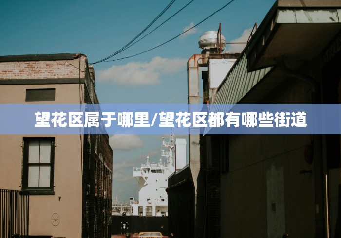 望花区属于哪里/望花区都有哪些街道 望花区属于哪里/望花区都有哪些街道
