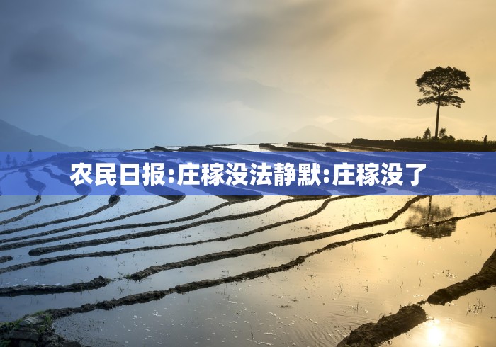 农民日报:庄稼没法静默:庄稼没了