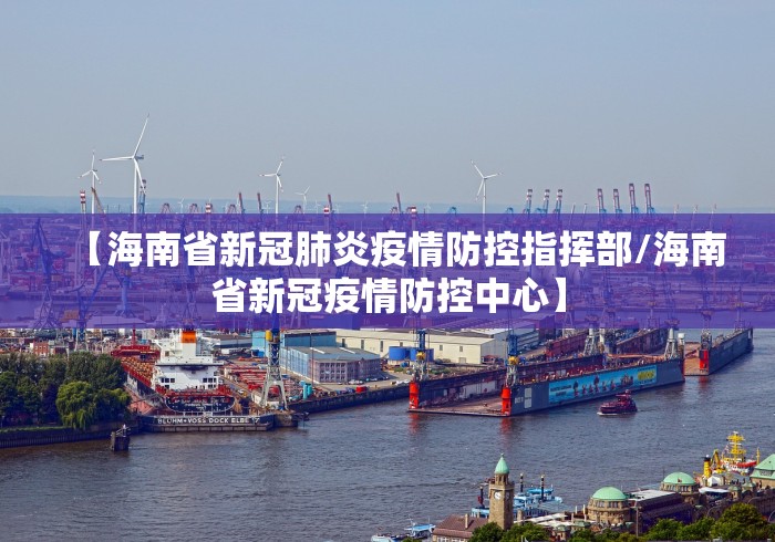 【海南省新冠肺炎疫情防控指挥部/海南省新冠疫情防控中心】
