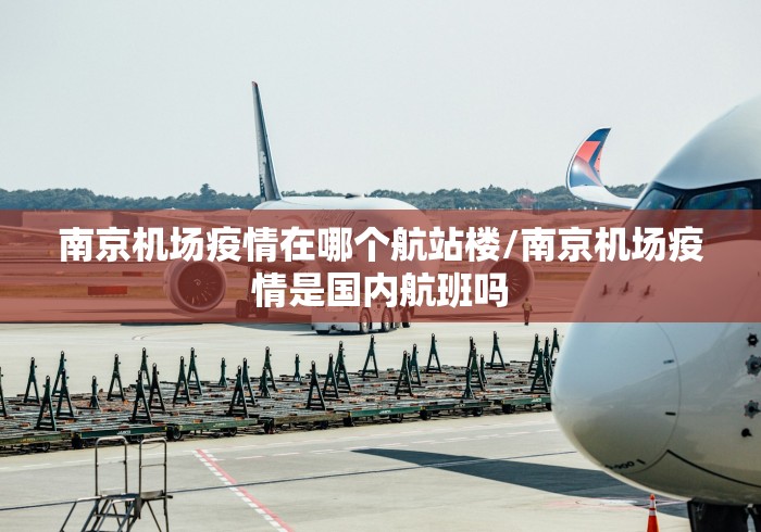 南京机场疫情在哪个航站楼/南京机场疫情是国内航班吗