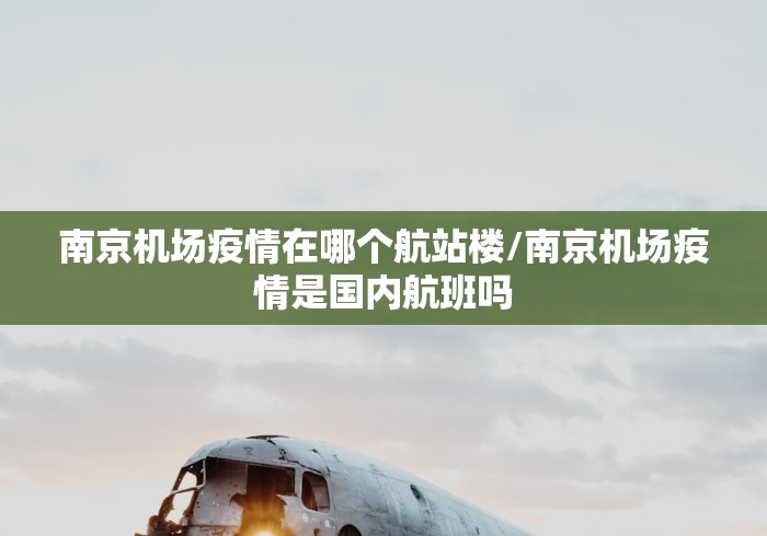 南京机场疫情在哪个航站楼/南京机场疫情是国内航班吗 南京机场疫情在哪个航站楼/南京机场疫情是国内航班吗