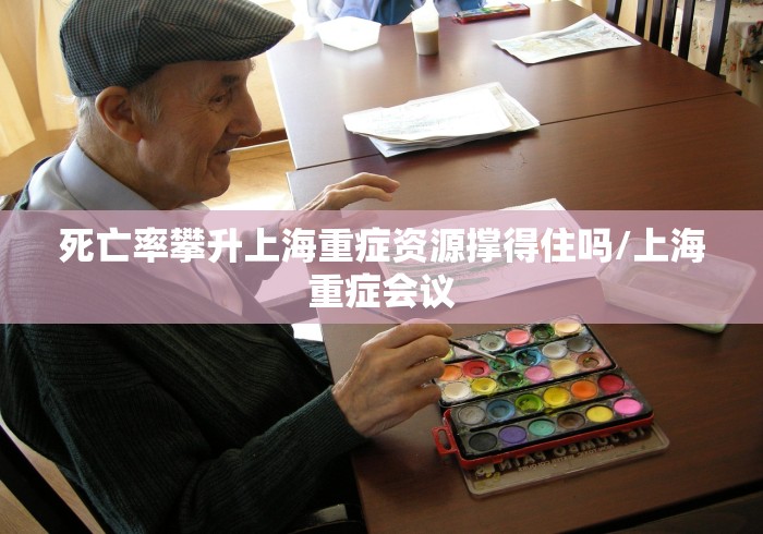死亡率攀升上海重症资源撑得住吗/上海重症会议