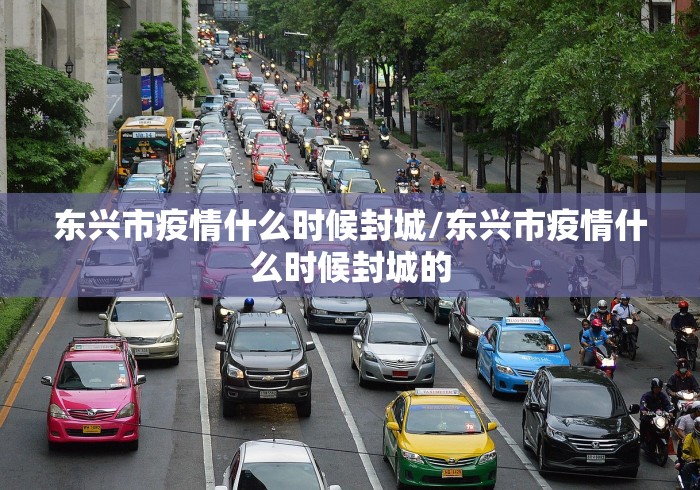 东兴市疫情什么时候封城/东兴市疫情什么时候封城的