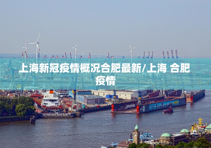 上海新冠疫情概况合肥最新/上海 合肥 疫情