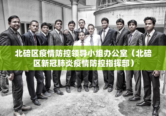 北碚区疫情防控领导小组办公室（北碚区新冠肺炎疫情防控指挥部）