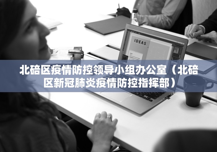 北碚区疫情防控领导小组办公室(北碚区新冠肺炎疫情防控指挥部) 北碚区疫情防控领导小组办公室(北碚区新冠肺炎疫情防控指挥部)