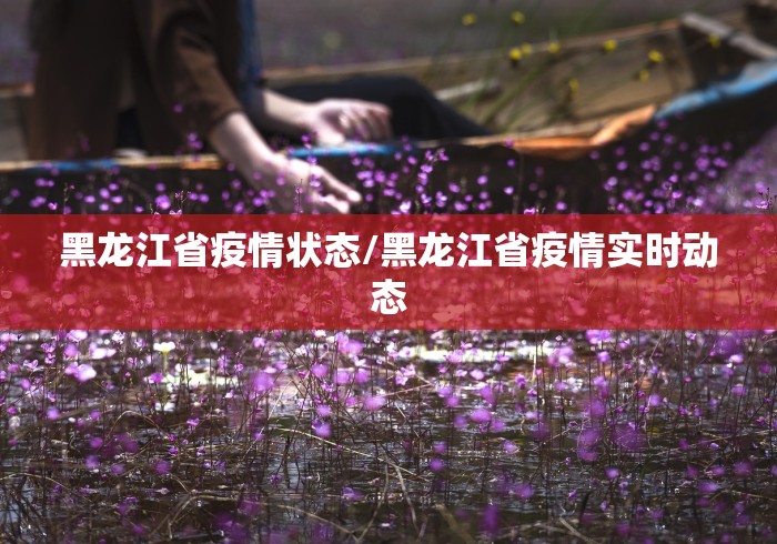 黑龙江省疫情状态/黑龙江省疫情实时动态 黑龙江省疫情状态/黑龙江省疫情实时动态