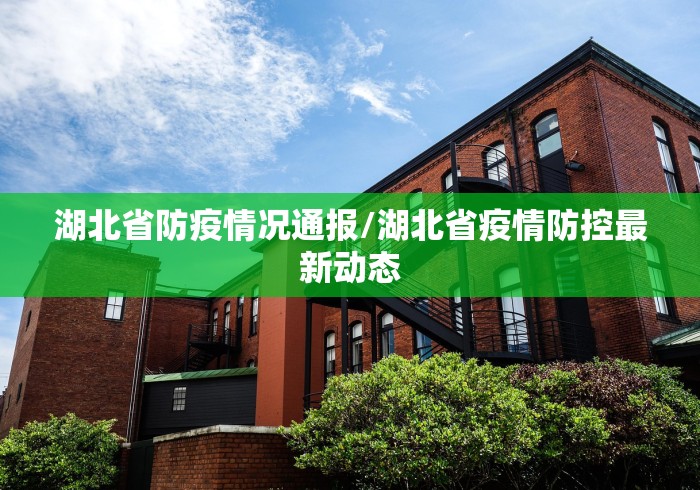 湖北省防疫情况通报/湖北省疫情防控最新动态