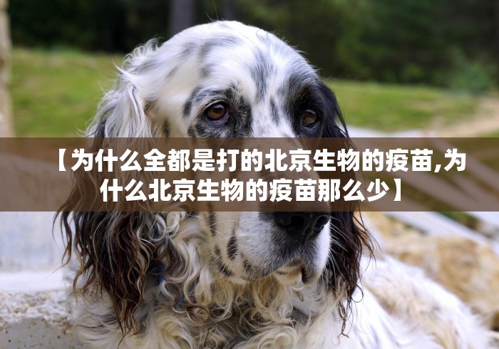 【为什么全都是打的北京生物的疫苗,为什么北京生物的疫苗那么少】