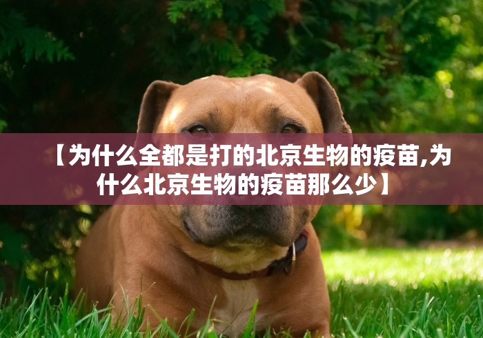 【为什么全都是打的北京生物的疫苗,为什么北京生物的疫苗那么少】