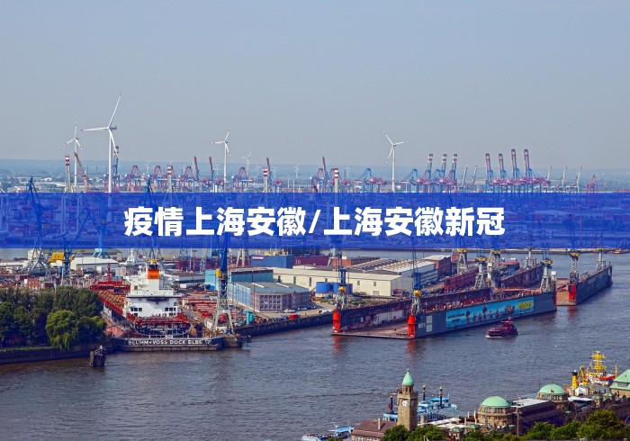 疫情上海安徽/上海安徽新冠 疫情上海安徽/上海安徽新冠