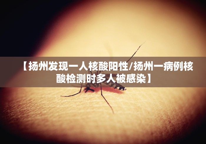 【扬州发现一人核酸阳性/扬州一病例核酸检测时多人被感染】