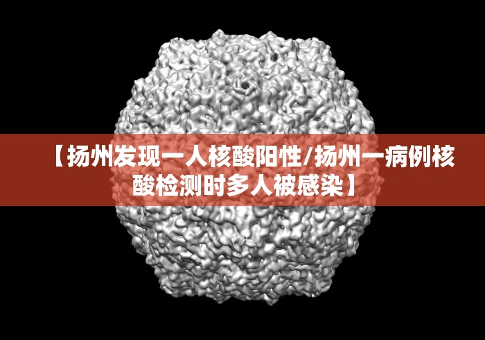 【扬州发现一人核酸阳性/扬州一病例核酸检测时多人被感染】 【扬州发现一人核酸阳性/扬州一病例核酸检测时多人被感染】