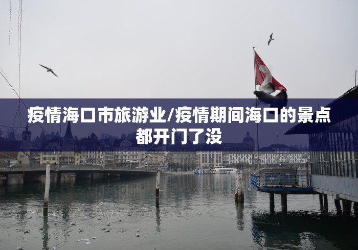 疫情海口市旅游业/疫情期间海口的景点都开门了没