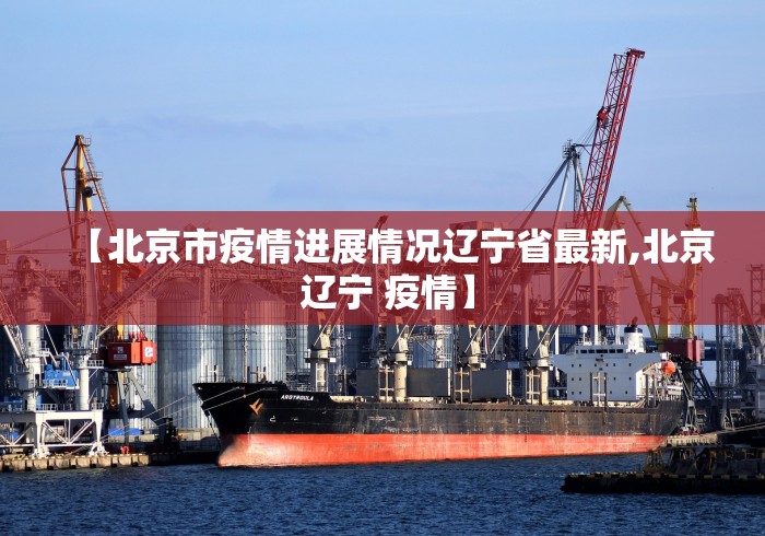 【北京市疫情进展情况辽宁省最新,北京 辽宁 疫情】