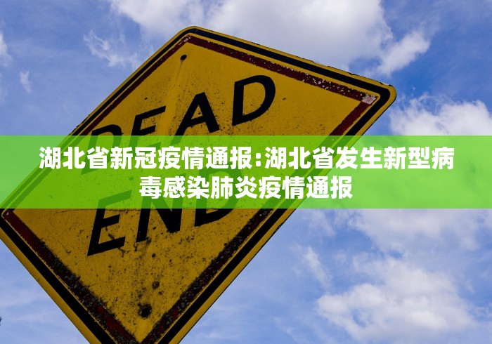 湖北省新冠疫情通报:湖北省发生新型病毒感染肺炎疫情通报