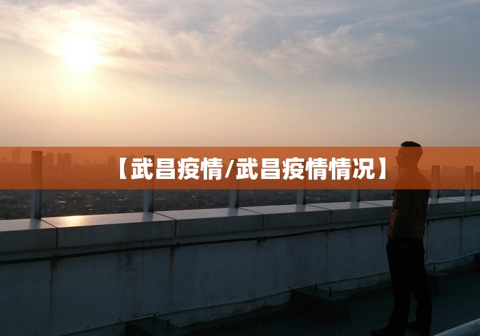 【武昌疫情/武昌疫情情况】