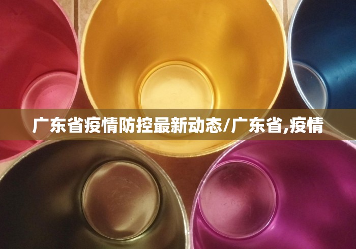 广东省疫情防控最新动态/广东省,疫情