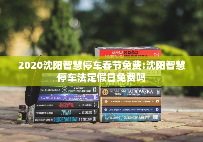 2020沈阳智慧停车春节免费:沈阳智慧停车法定假日免费吗 2020沈阳智慧停车春节免费:沈阳智慧停车法定假日免费吗