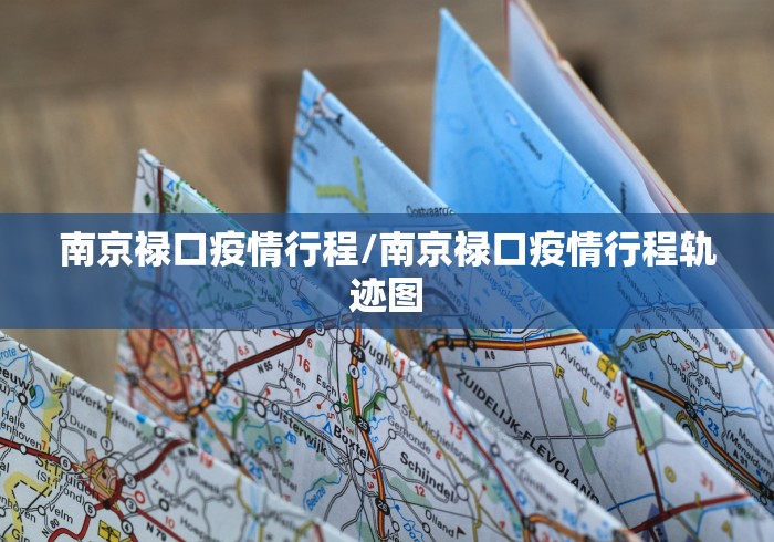 南京禄口疫情行程/南京禄口疫情行程轨迹图