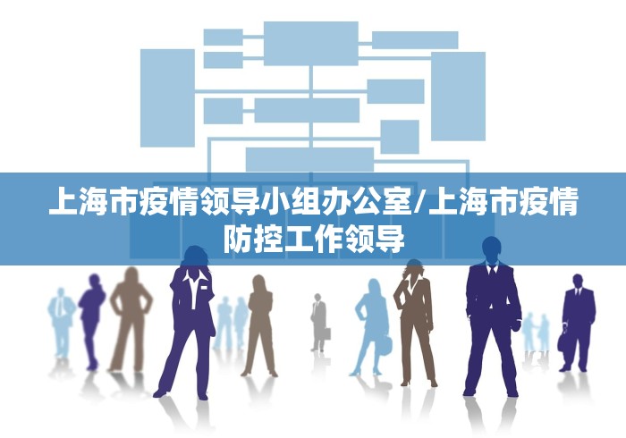 上海市疫情领导小组办公室/上海市疫情防控工作领导