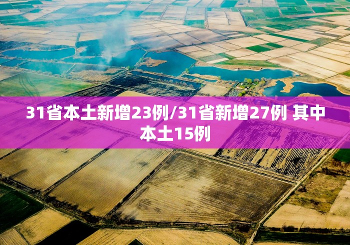 31省本土新增23例/31省新增27例 其中本土15例