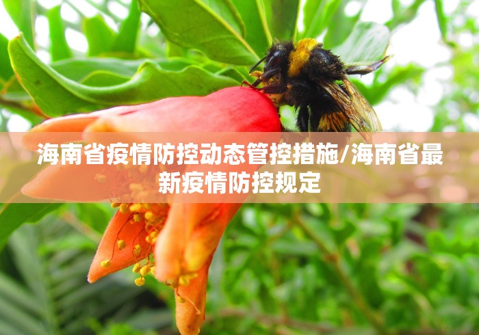 海南省疫情防控动态管控措施/海南省最新疫情防控规定 海南省疫情防控动态管控措施/海南省最新疫情防控规定