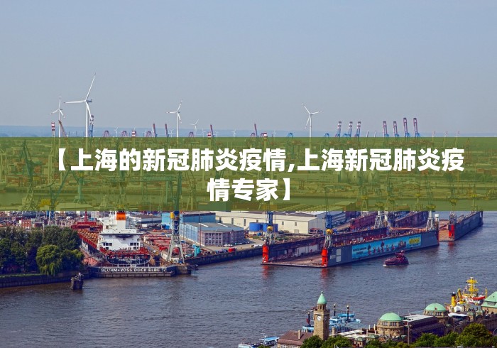 【上海的新冠肺炎疫情,上海新冠肺炎疫情专家】 【上海的新冠肺炎疫情,上海新冠肺炎疫情专家】