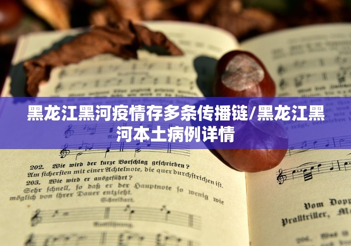 黑龙江黑河疫情存多条传播链/黑龙江黑河本土病例详情