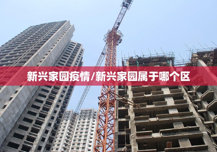 新兴家园疫情/新兴家园属于哪个区