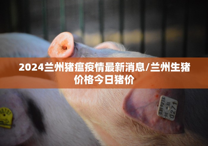 2024兰州猪瘟疫情最新消息/兰州生猪价格今日猪价 2024兰州猪瘟疫情最新消息/兰州生猪价格今日猪价